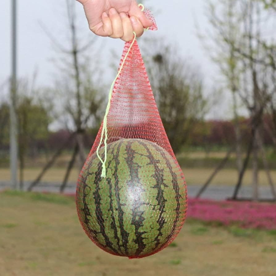 Rete per conservazione castagne, noci, meloni,mt50 - 2