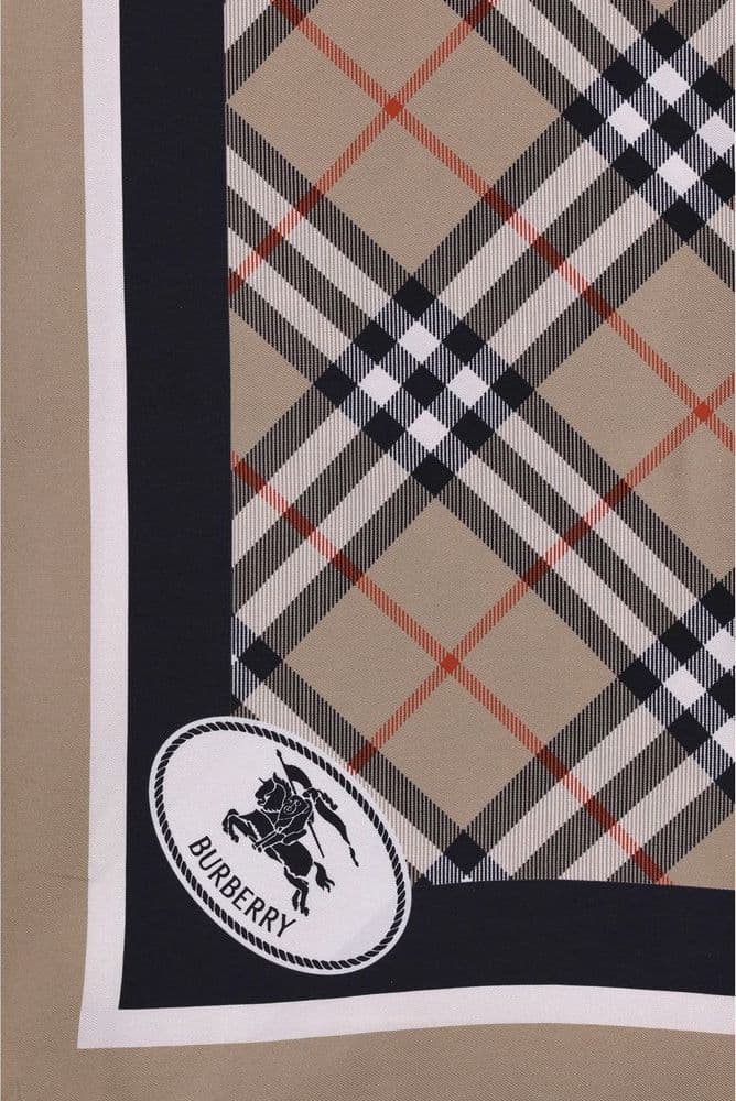 Beige Silk Scarf - 3