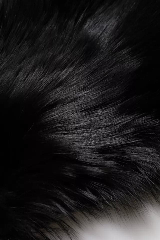 Black Fox Fur Neck Wrap Warmer Winter Scarf - 5