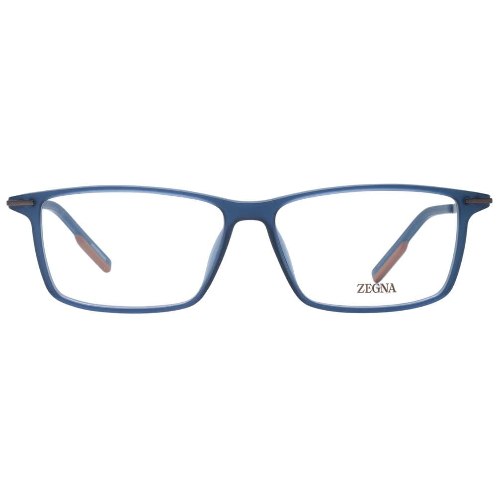 Blue Plastic Glasses (Frames) - 2