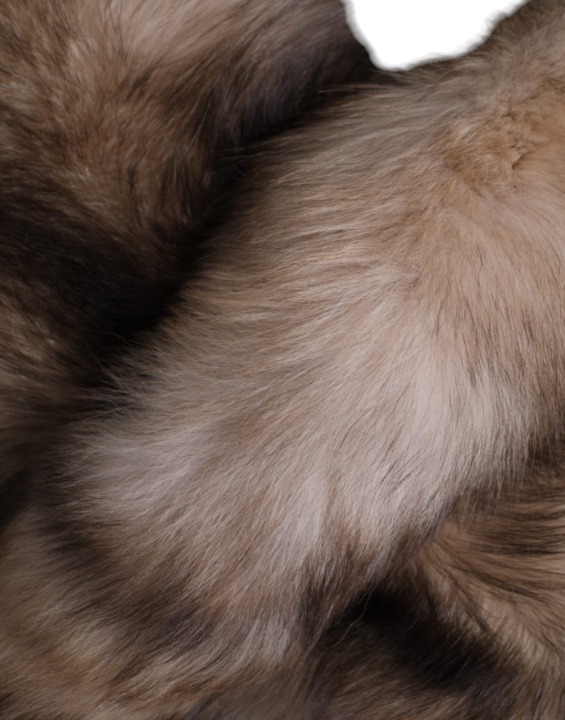 Brown Frost Fox Fur Neck Warmer Winter Scarf - 6