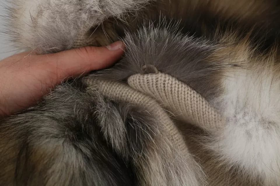 Brown Fox Tail Fur Shawl Neck Wrap Cover Collar Scarf - 4