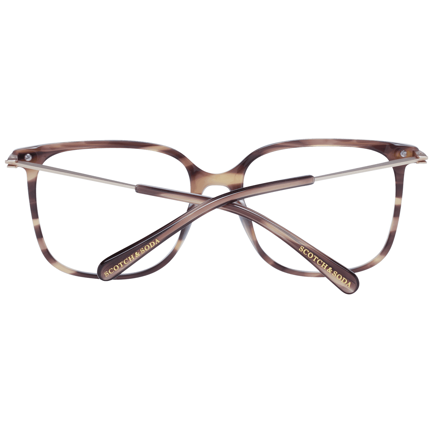 Brown Women Frames - 3