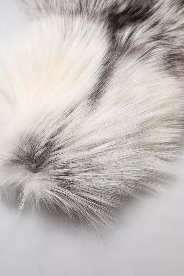 White Fox Fur Neck Wrap Warmer Winter Scarf - 4