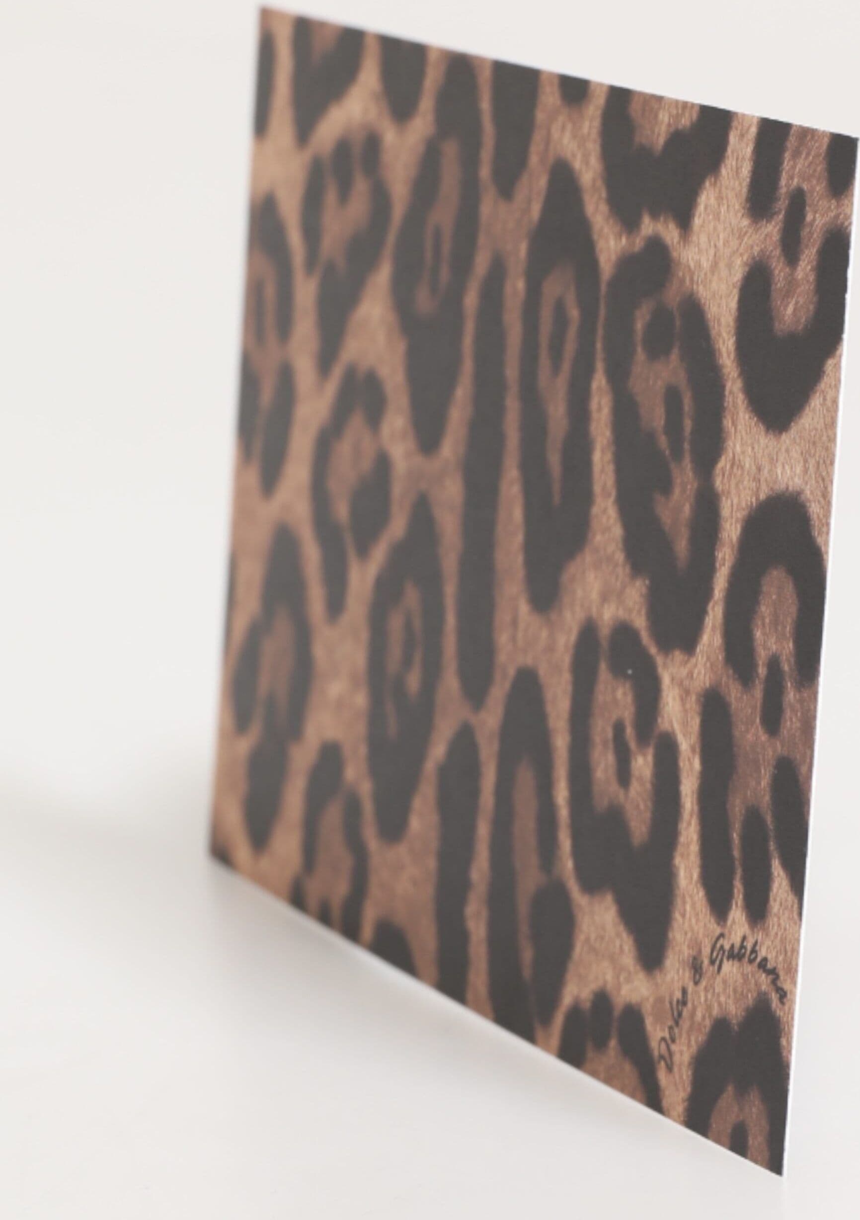 Multicolor Leopard Print Envelope Paper Post Card Holder - 4