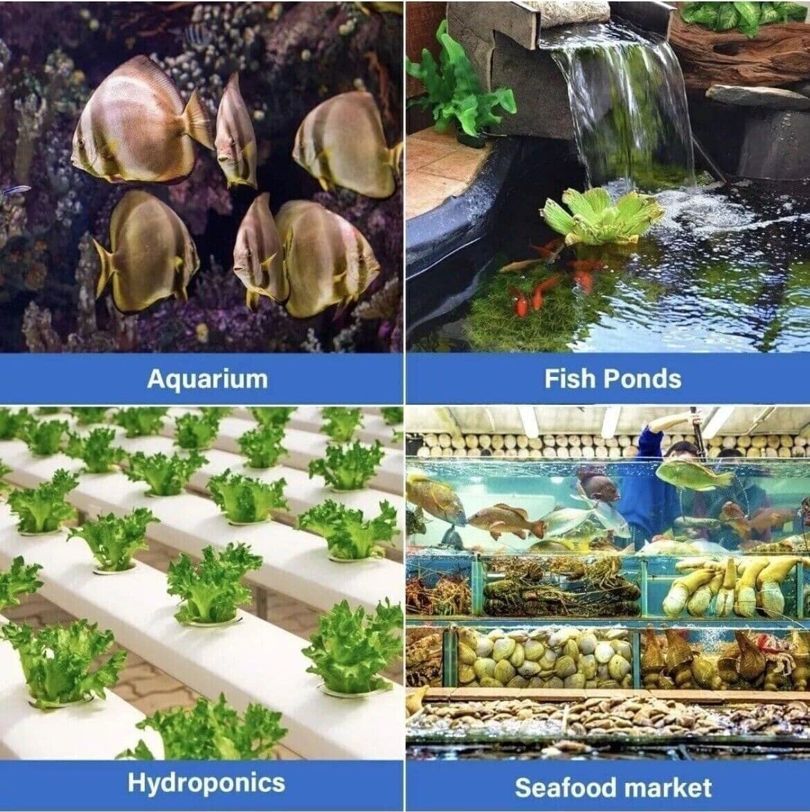 Pompa ad Aria per Acquario Simple deluxe con doppia Uscita del Flusso d'Aria - 2