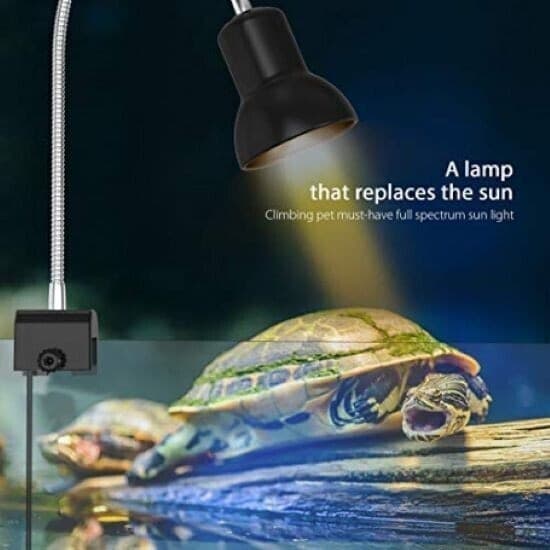Lampada Riscaldante da 25 W con Supporto Lampada Basking UVA UVB - 4