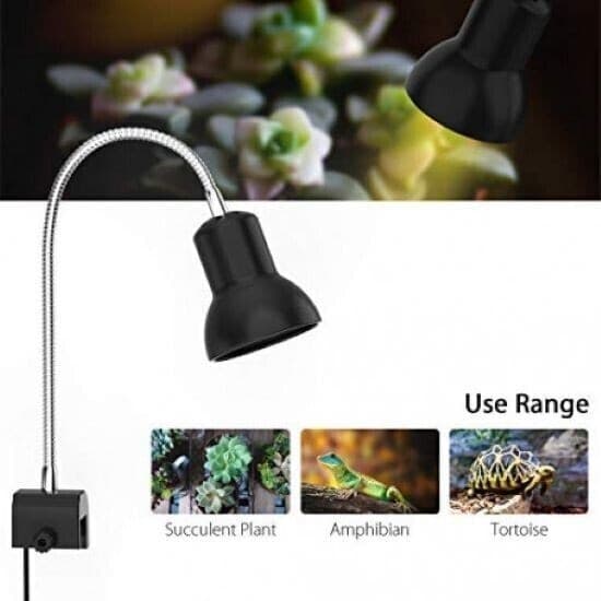 Lampada Riscaldante da 25 W con Supporto Lampada Basking UVA UVB - 5