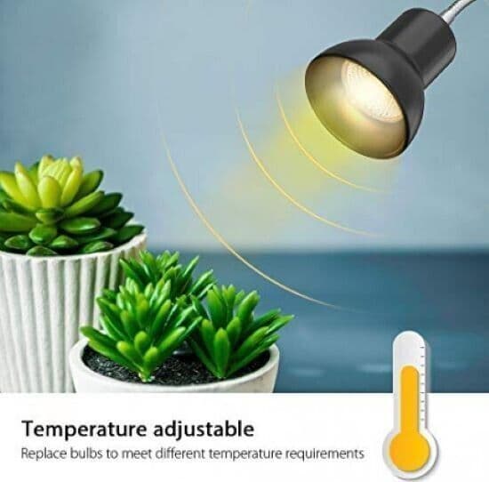 Lampada Riscaldante da 25 W con Supporto Lampada Basking UVA UVB - 6