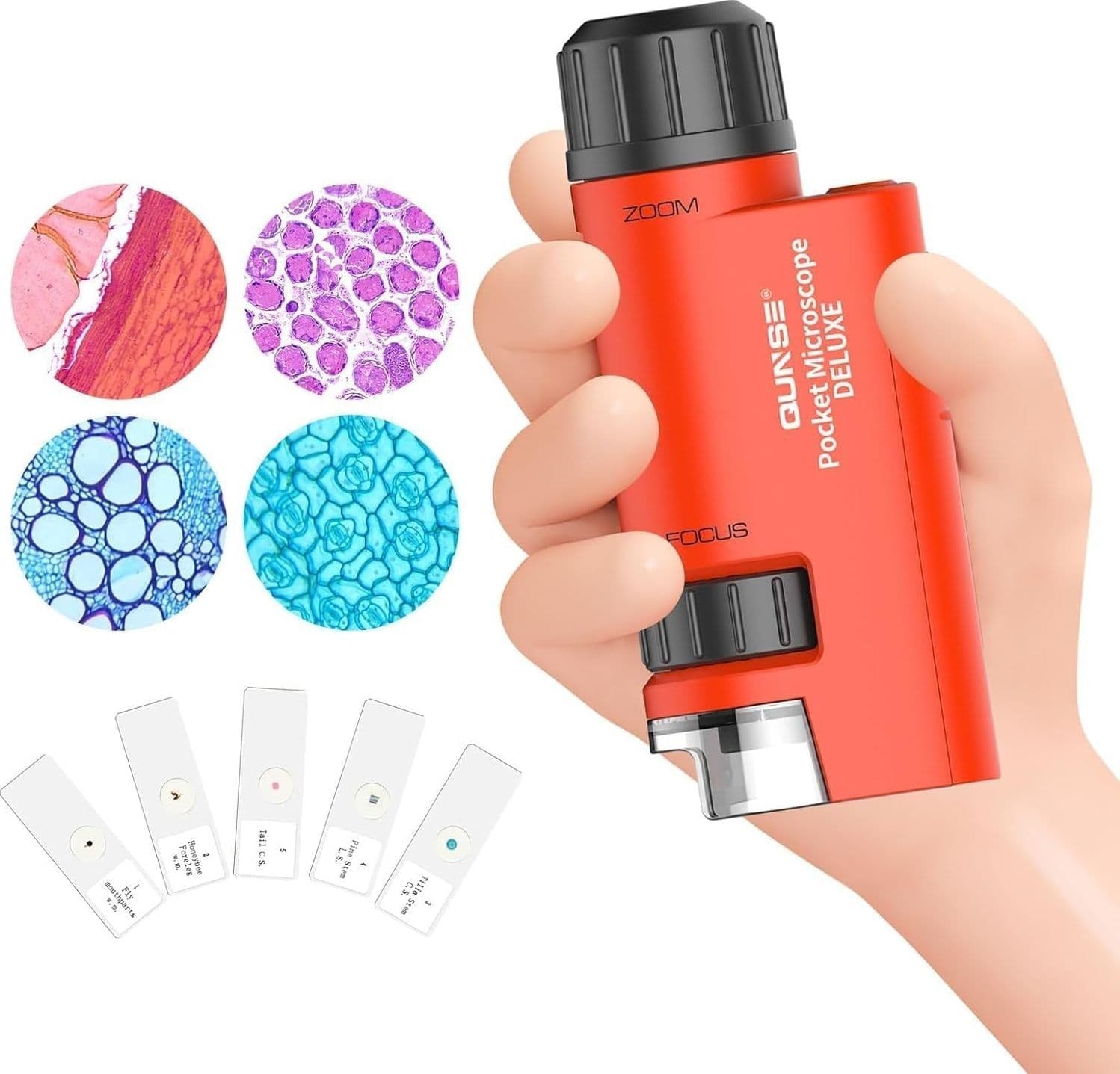 Microscopio Tascabile Bambini 60X-120X LED Mini Portatile 5 Vetrini Regalo Lenti
