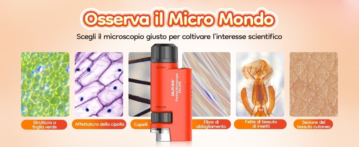 Microscopio Tascabile Bambini 60X-120X LED Mini Portatile 5 Vetrini Regalo Lenti - 10