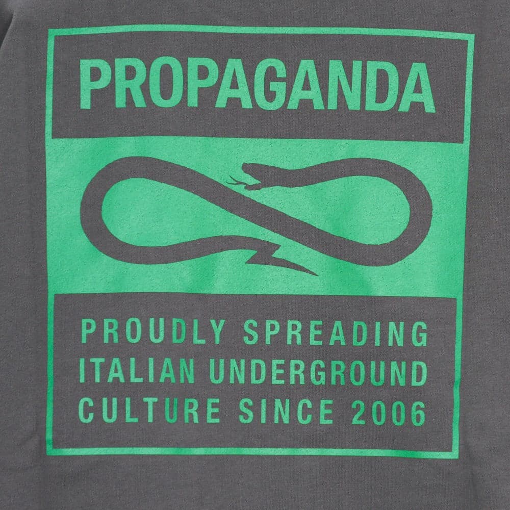 PROPAGANDA Felpa Leggera Girocollo Uomo Label Green Crewneck Grey/green - 3