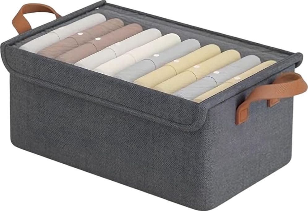 CONTENITORE PORTAOGGETTI 47X28X20CM ORGANIZER ARMADIO PIEGHEVOLE CON COPERCHIO MANIGLIE - 10