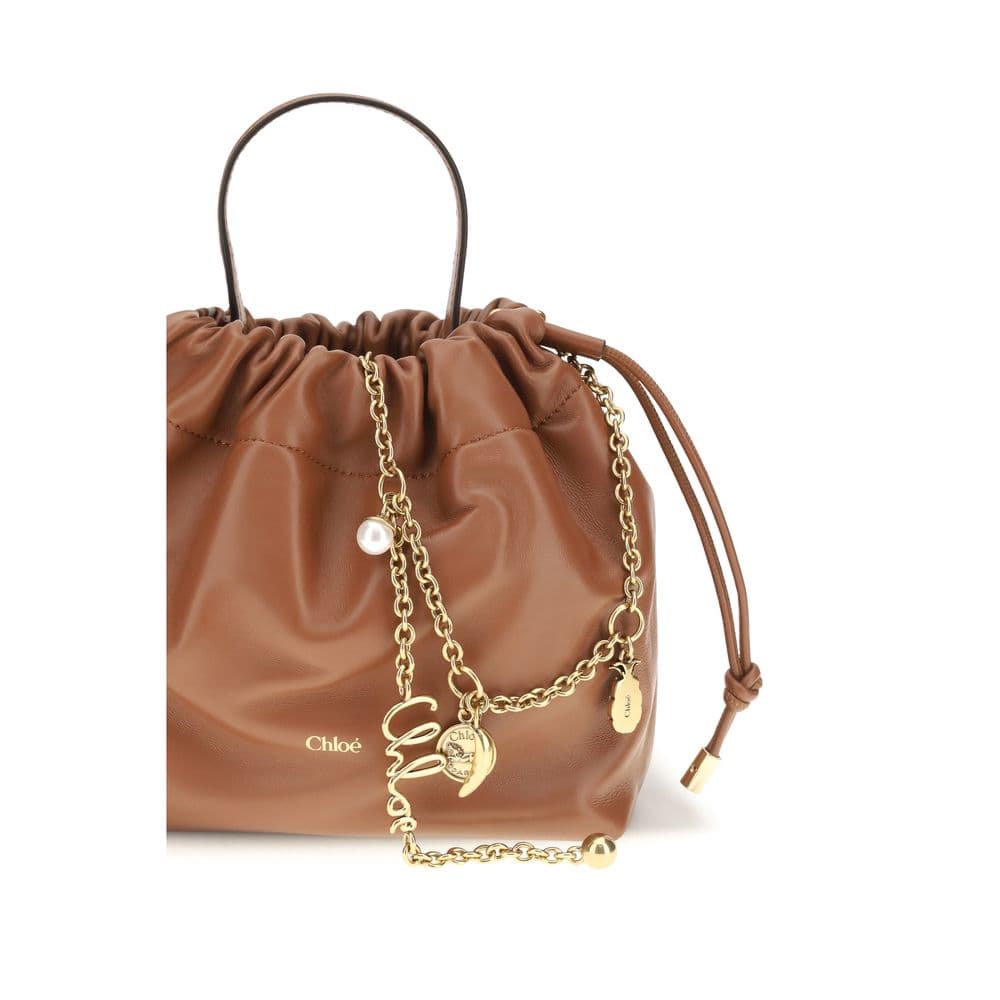 Chloé Brown Lamb Ovis Aries Aries Shoulder Bag - 4