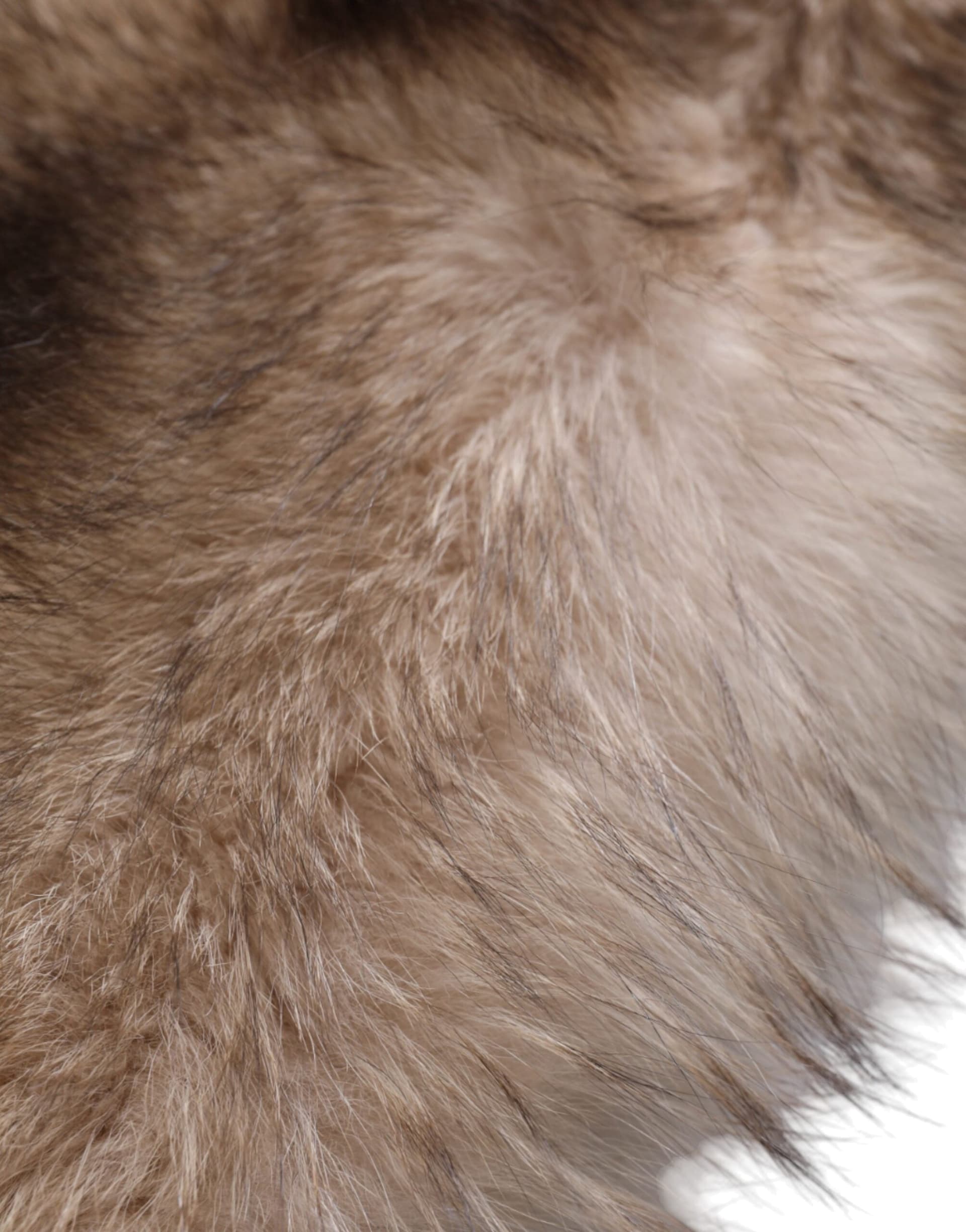 Dolce & Gabbana Brown Frost Fox Fur Neck Warmer Winter Scarf - 7