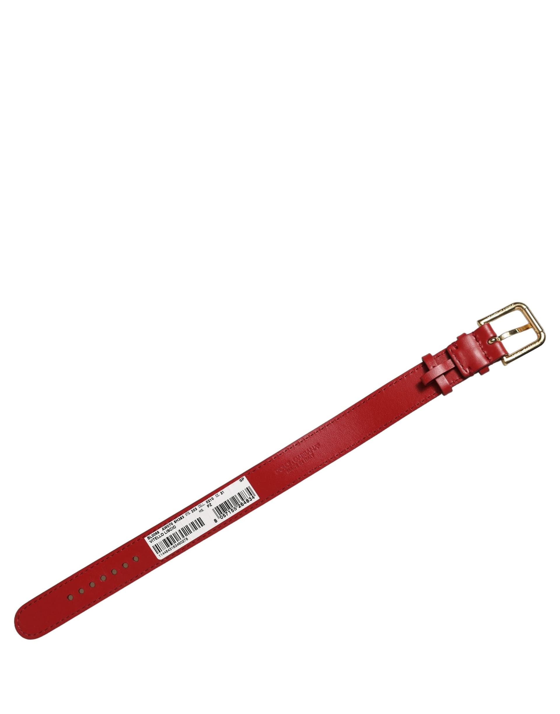 Dolce & Gabbana Red Calfskin Leather Gold Buckle Belt Strap Bracelet - 4