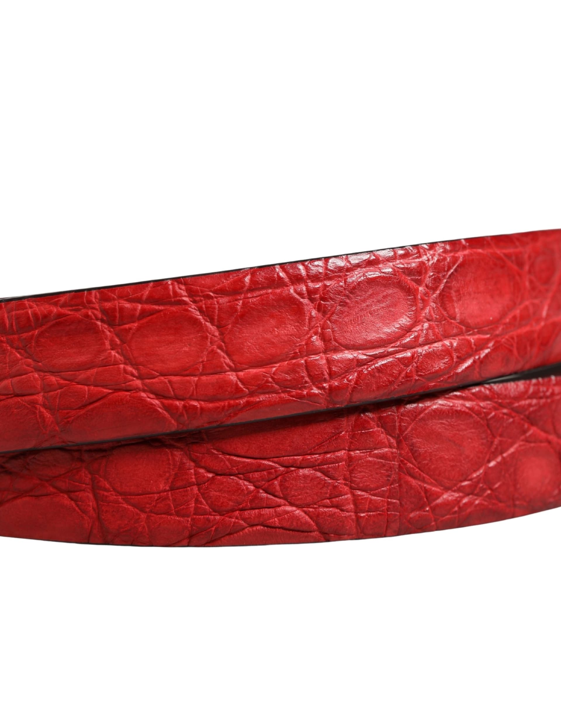 Dolce & Gabbana Men Red Exotic Leather Metal Buckle Belt - 5