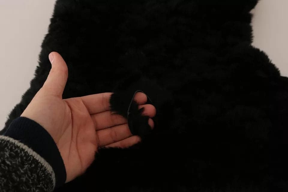 Dolce & Gabbana Black Silver Fox Fur Cashmere Hooded Scarf - 2