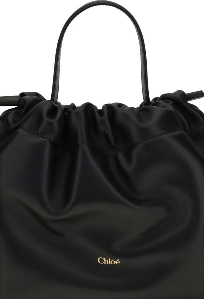 Chloé Black Lamb Ovis Aries Aries Shoulder Bag - 4
