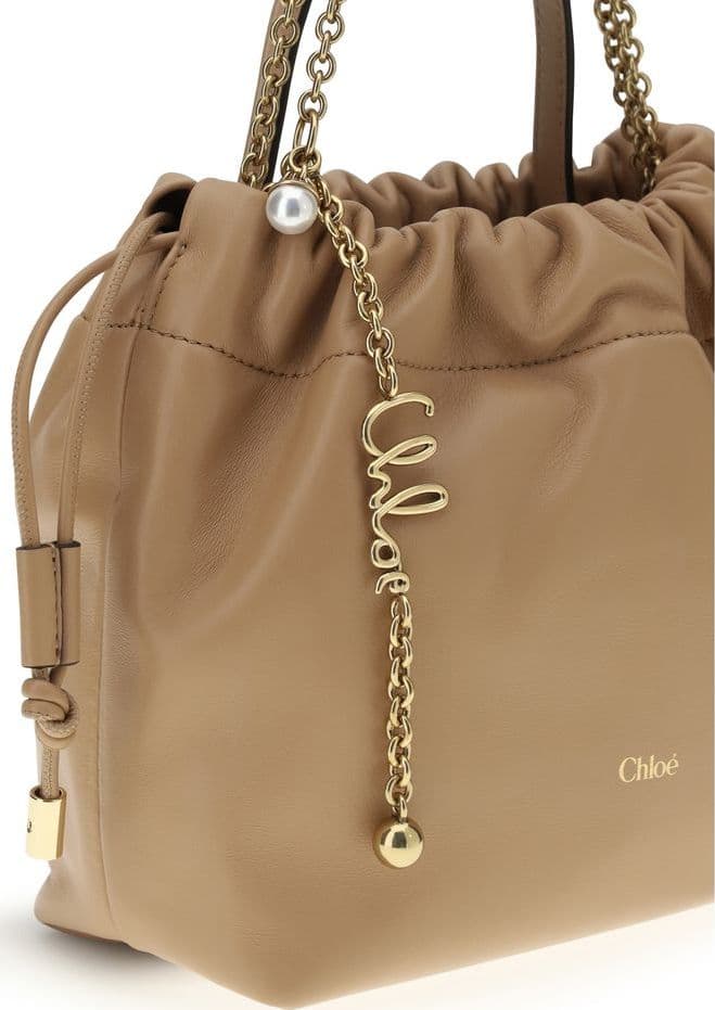 Chloé Beige Lamb Ovis Aries Aries Shoulder Bag - 4