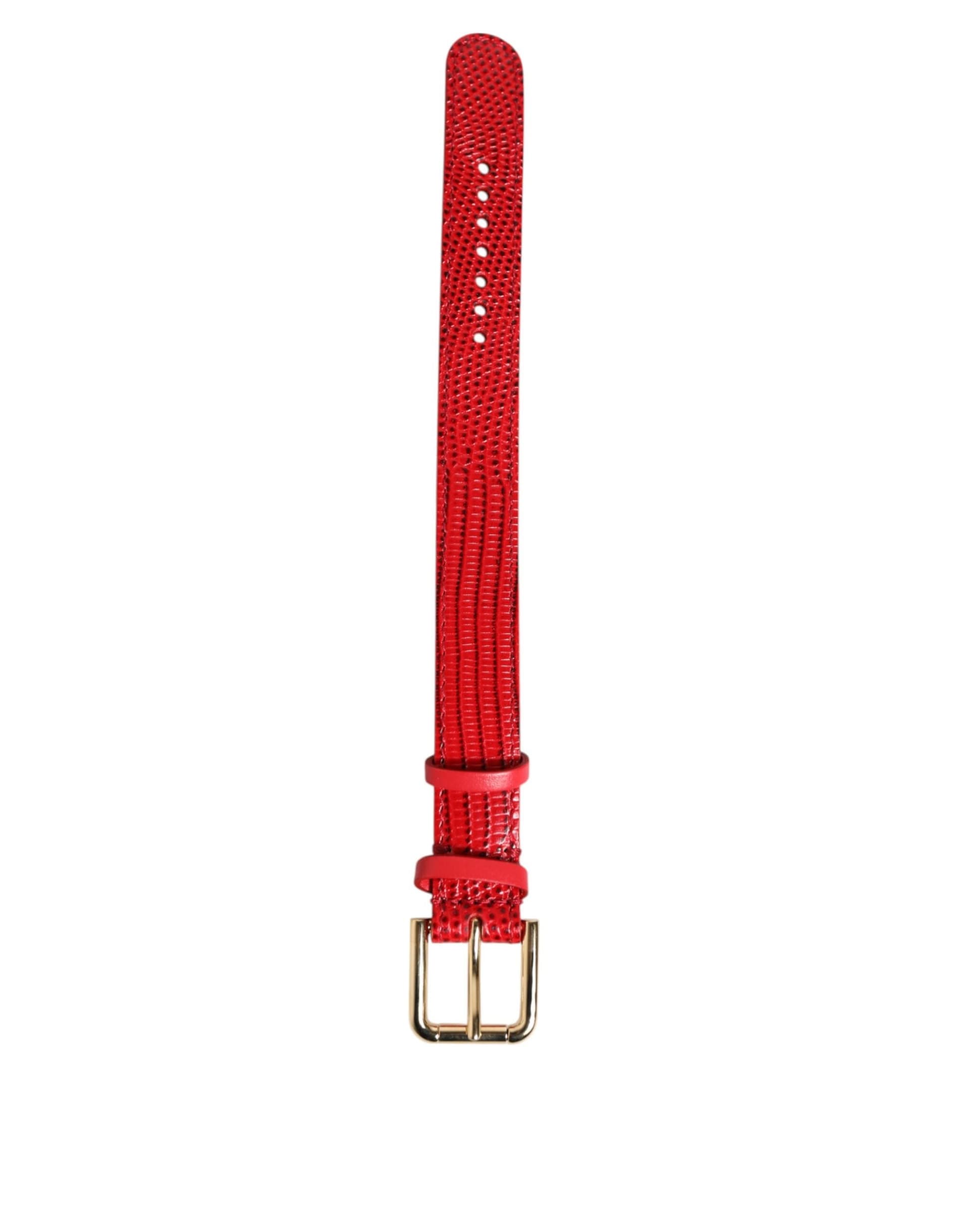 Dolce & Gabbana Red Exotic Leather Gold Tone Metal Buckle Women Armband - 3