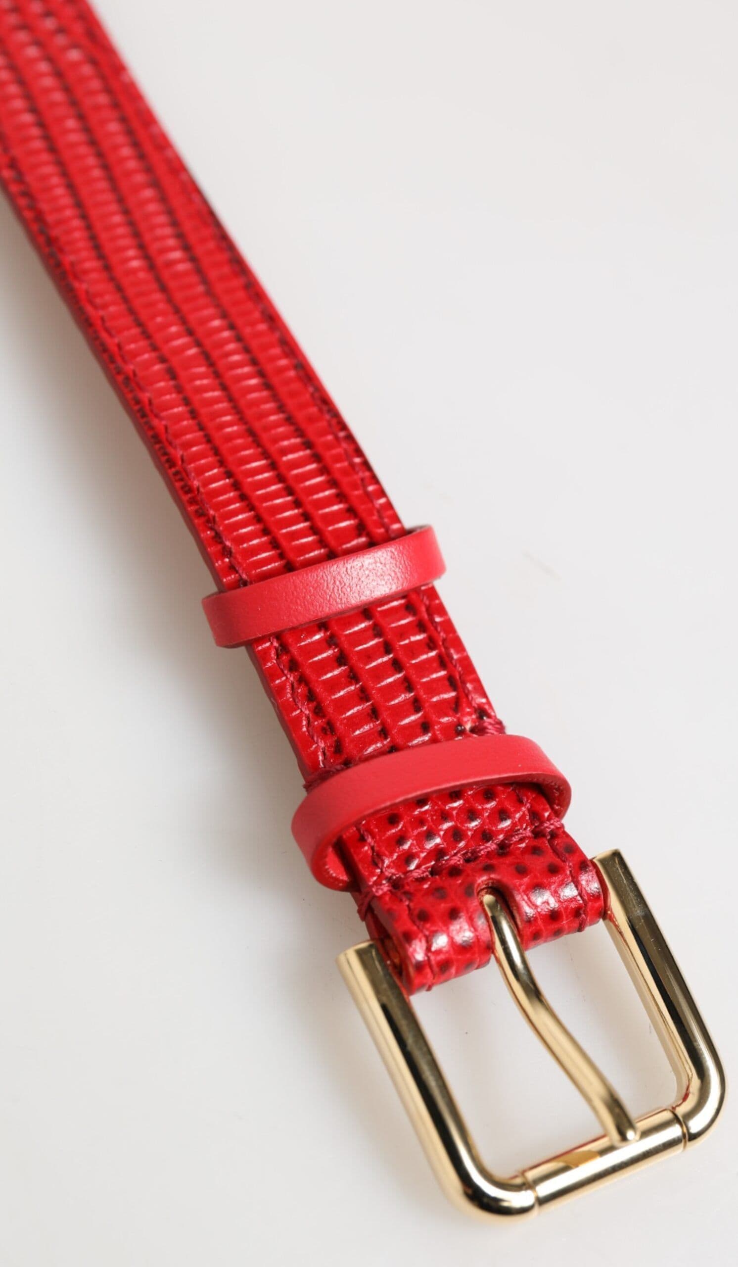 Dolce & Gabbana Red Exotic Leather Gold Tone Metal Buckle Women Armband - 4