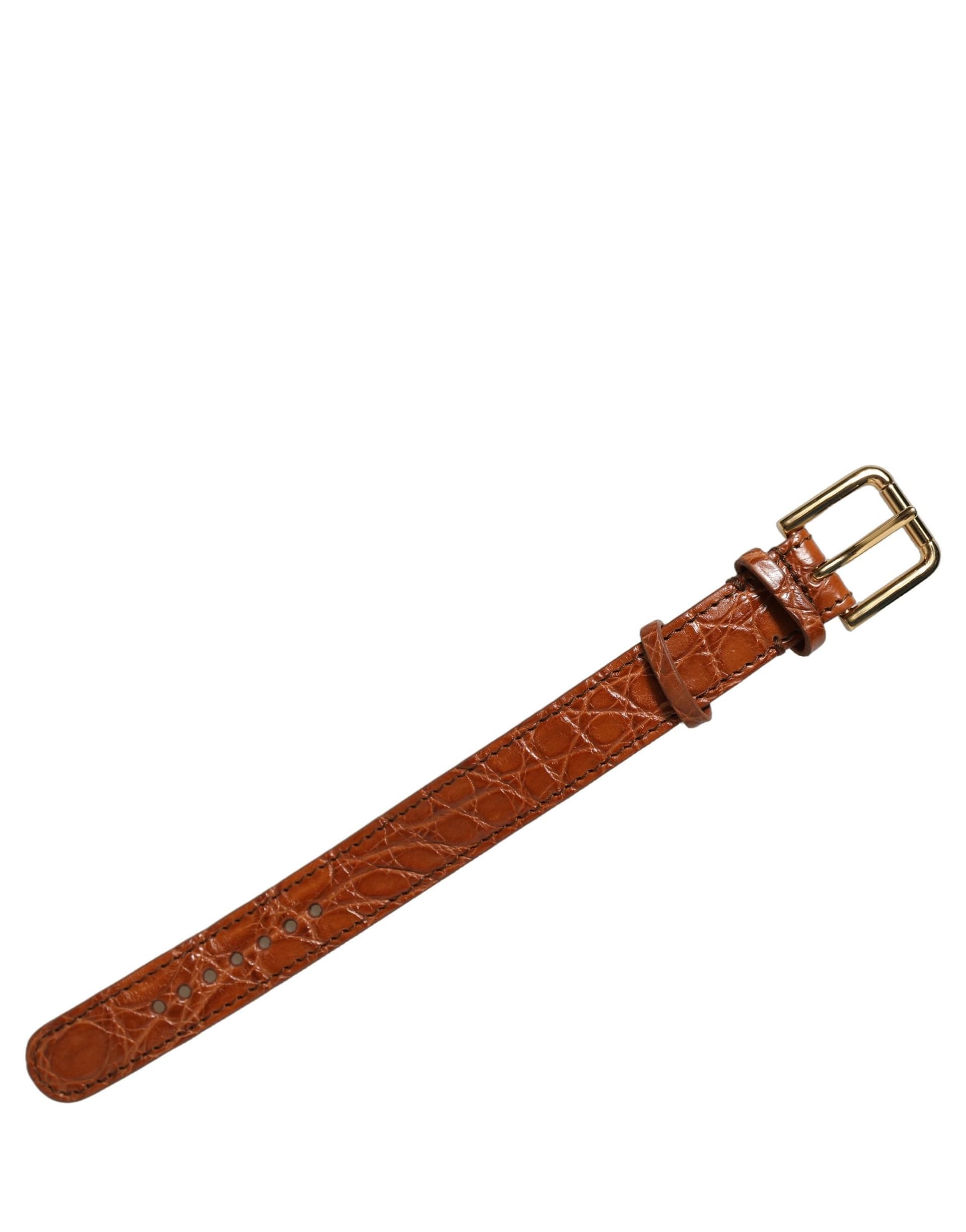 Dolce & Gabbana Brown Textured Leather Gold Buckle Belt Strap Bracelet - 2