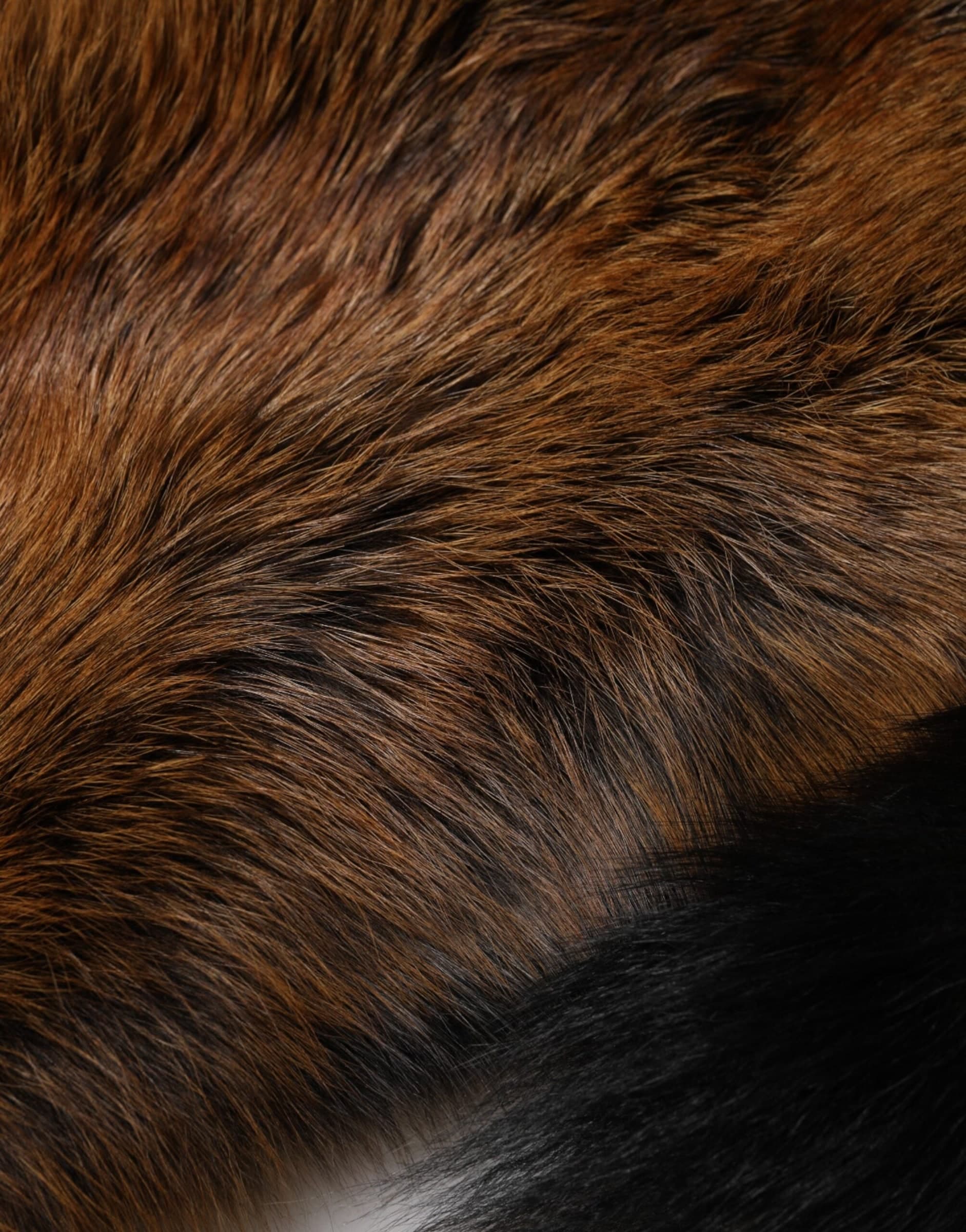 Dolce & Gabbana Brown Red Fox Fur Neck Cashmere Warmer Scarf - 8