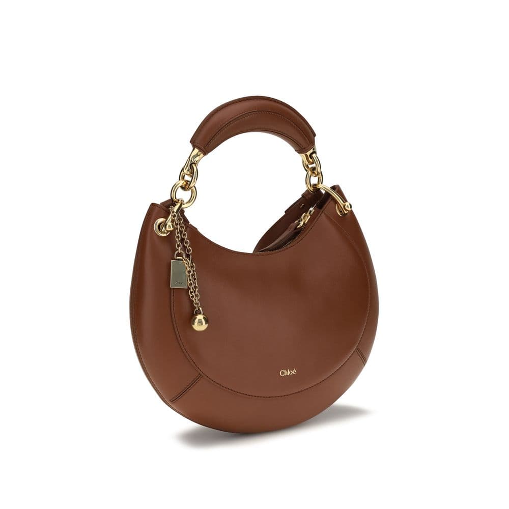 Chloé Brown Calf Leather Bos Taurus Shoulder Bag - 2