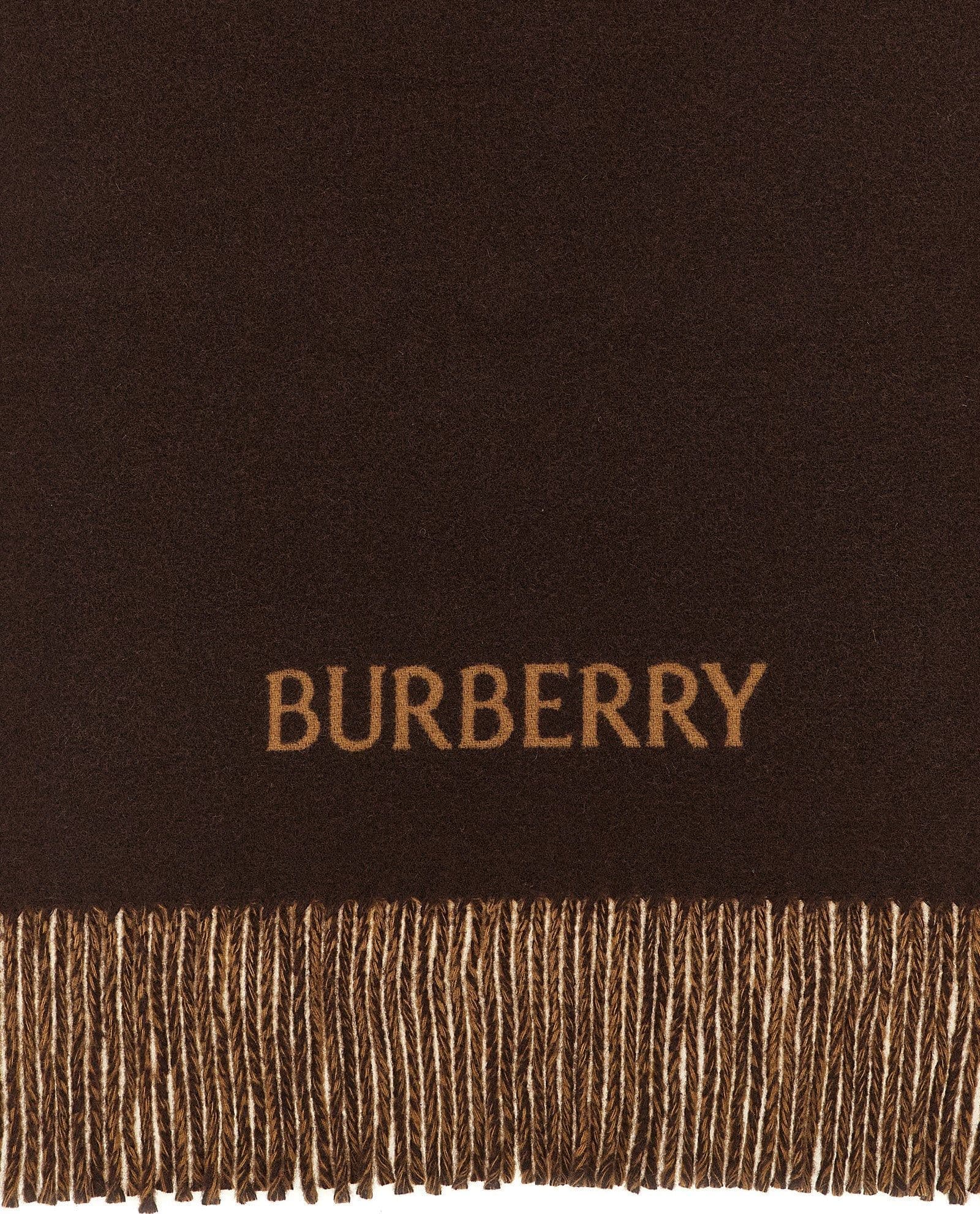 Burberry Multicolor Cashmere Scarf - 2