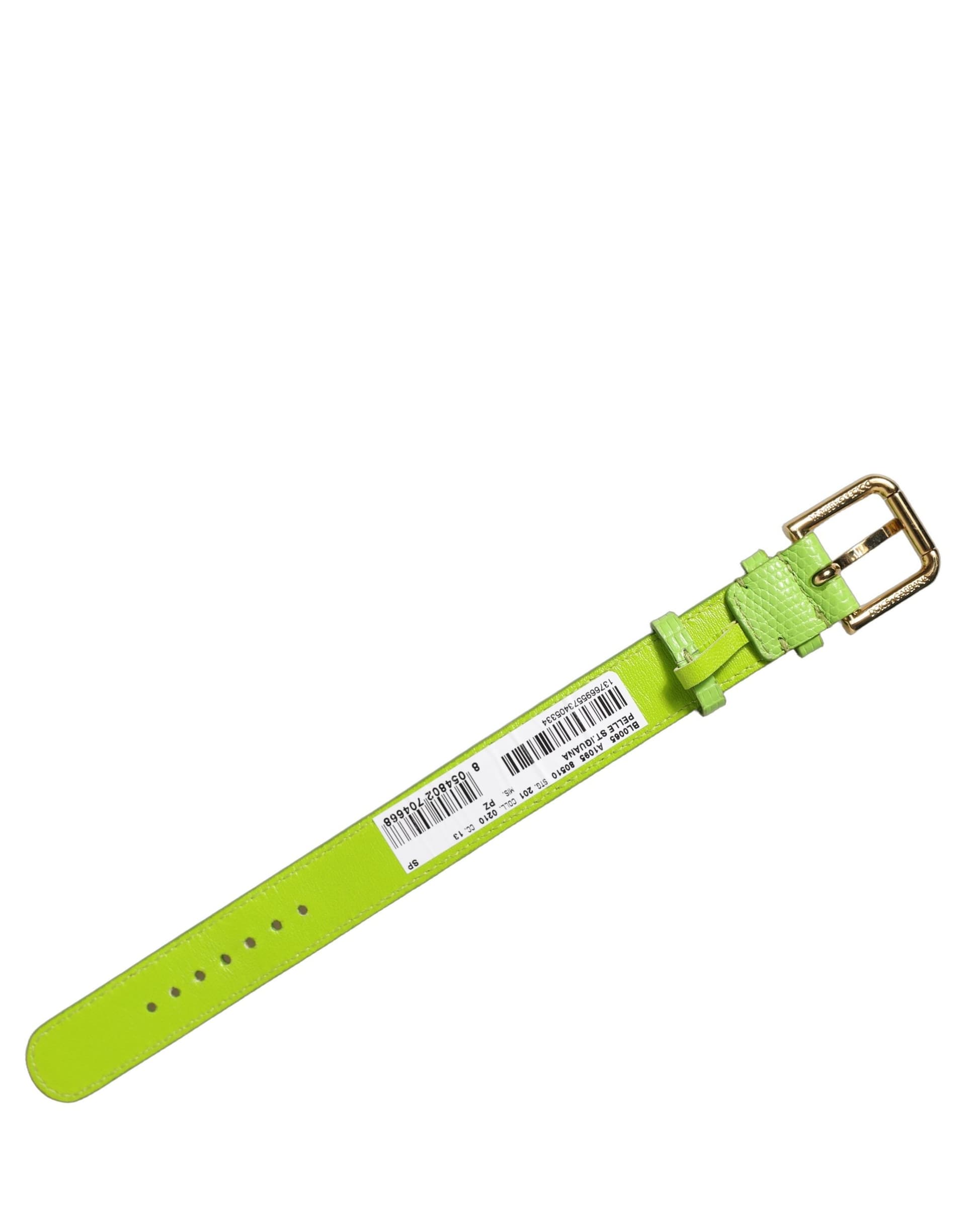 Dolce & Gabbana Green Textured Leather Gold Buckle Belt Strap Bracelet - 2