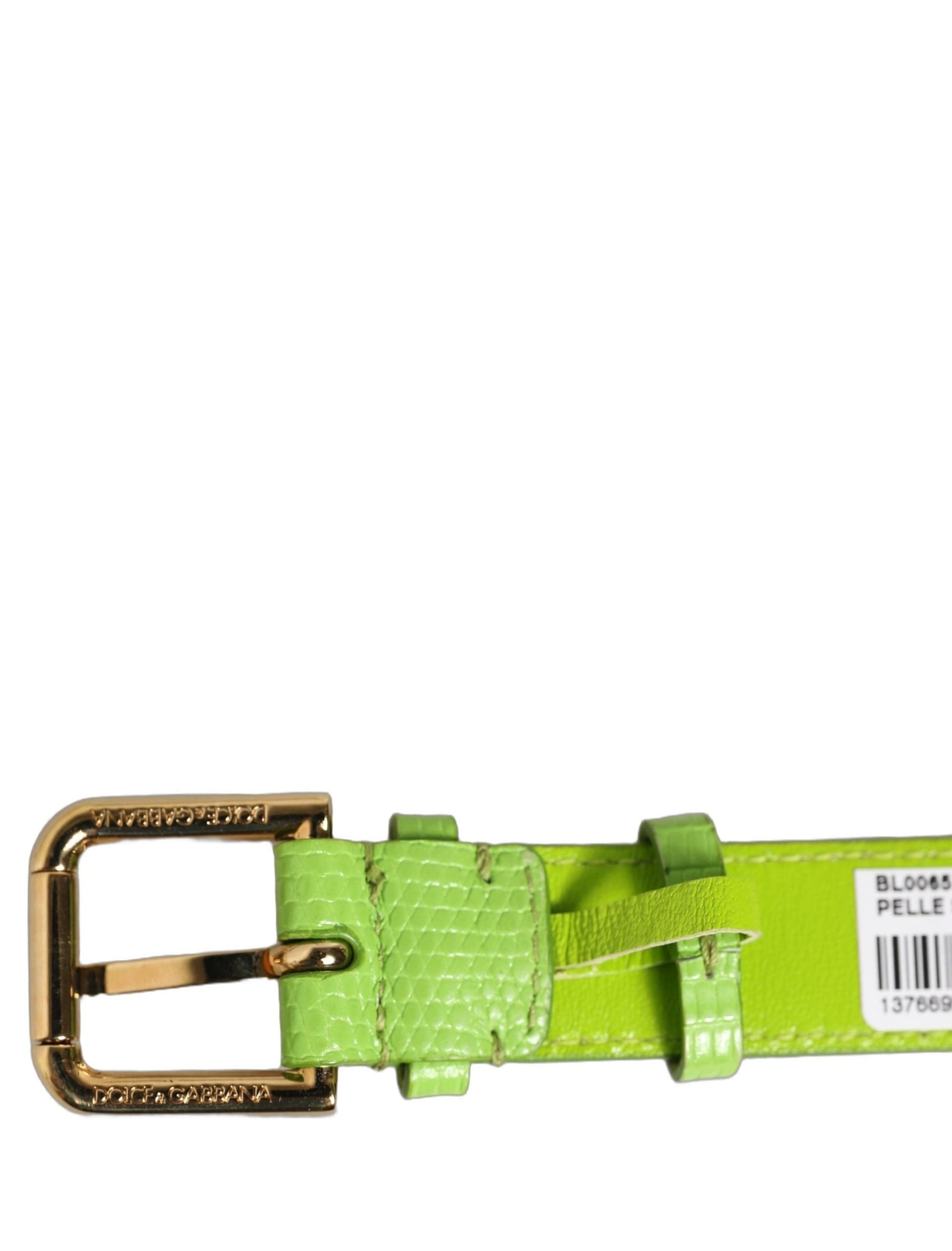 Dolce & Gabbana Green Textured Leather Gold Buckle Belt Strap Bracelet - 4