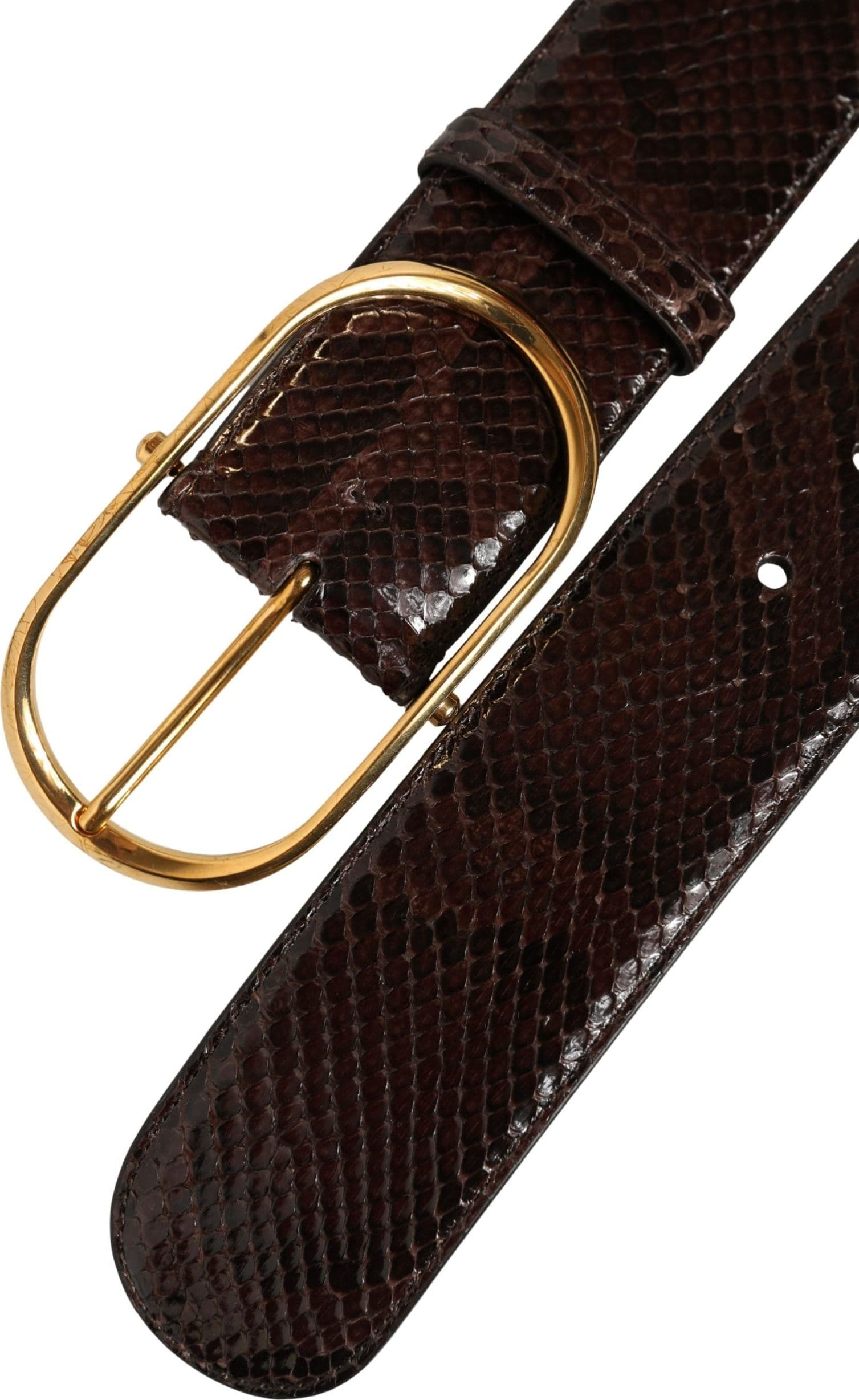 Dolce & Gabbana Brown Python Leather Gold Metal Buckle Belt - 2