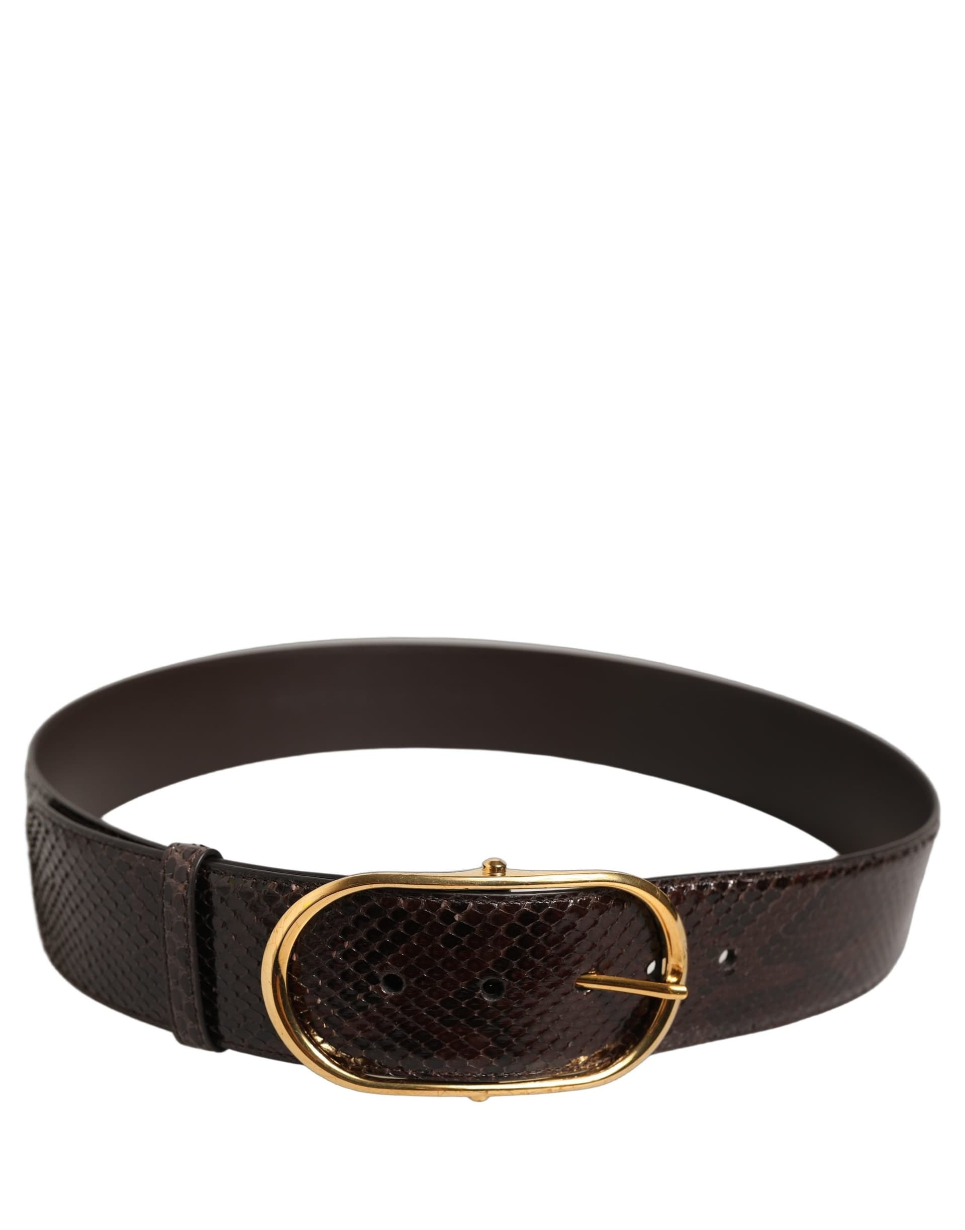 Dolce & Gabbana Brown Python Leather Gold Metal Buckle Belt - 4