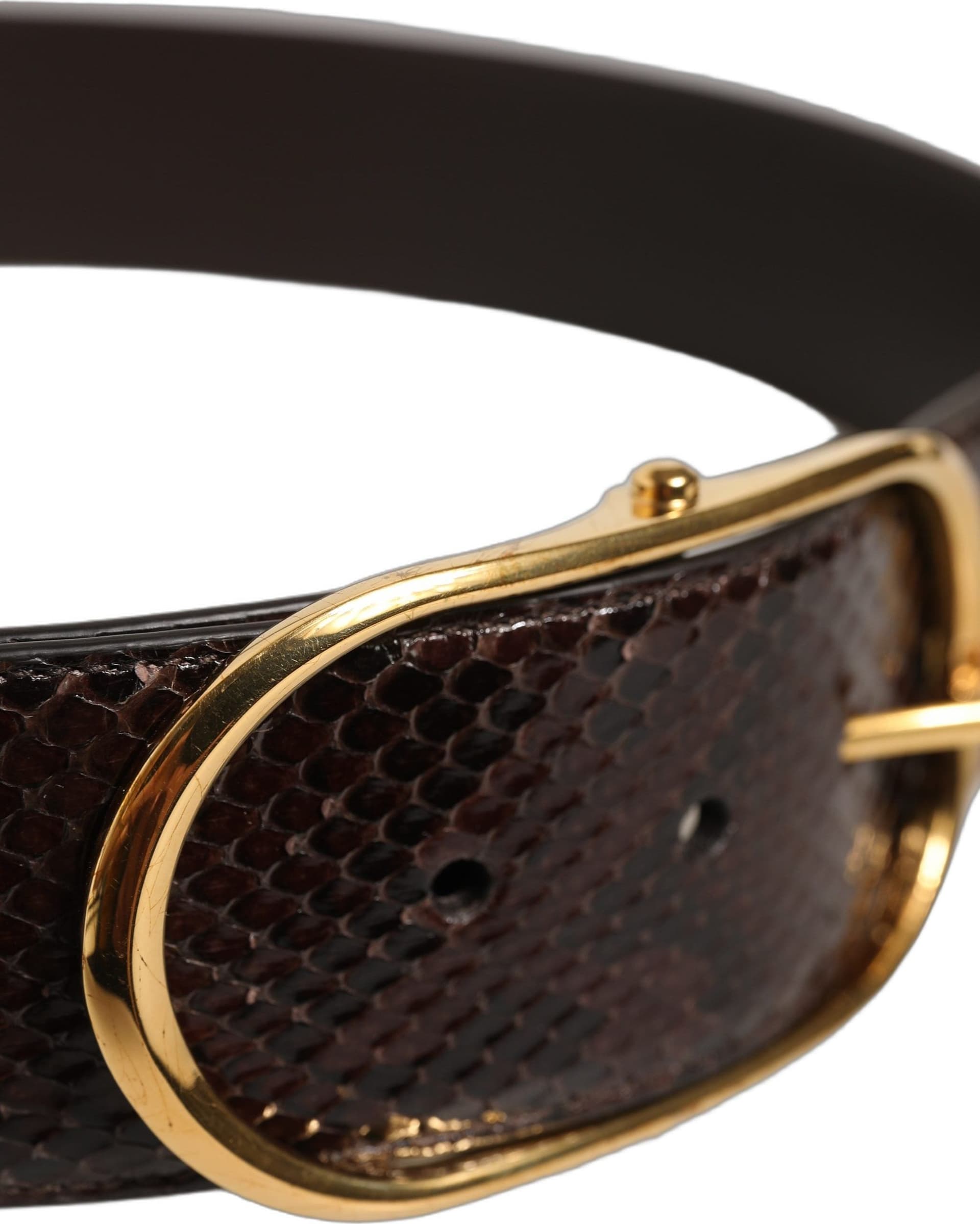 Dolce & Gabbana Brown Python Leather Gold Metal Buckle Belt - 5