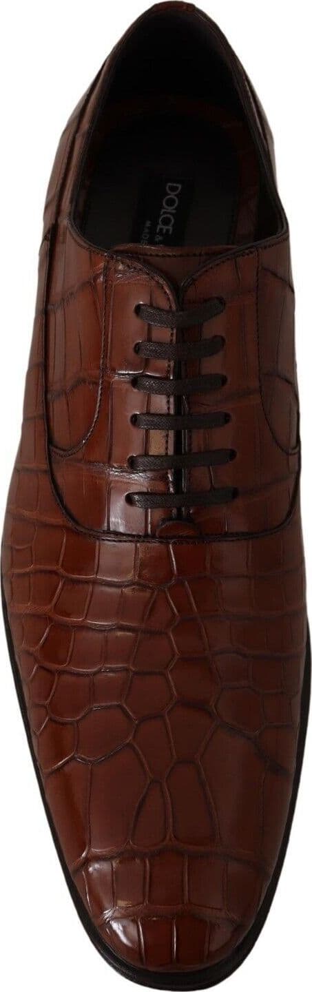 Dolce & Gabbana Brown Crocodile Leather Mens Formal Derby Shoes - 8