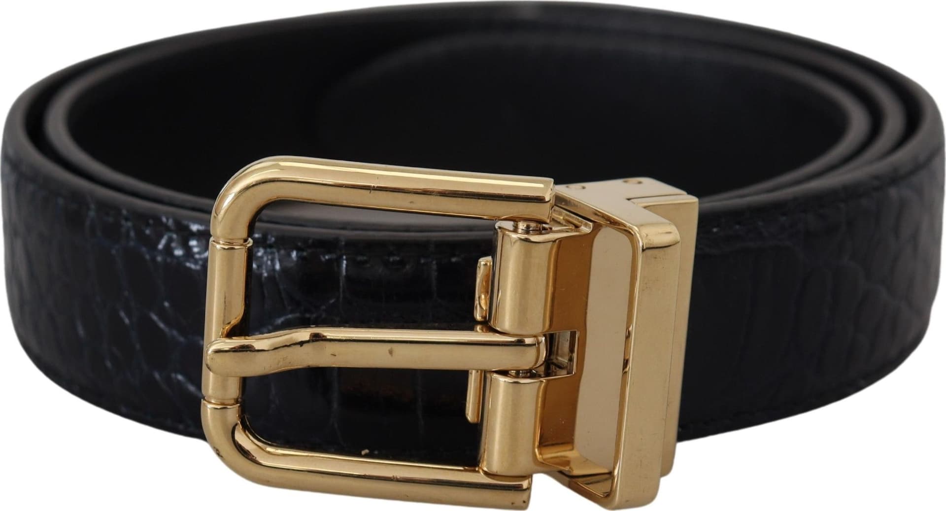 Dolce & Gabbana Blue Exotic Leather Gold Metal Buckle Belt - 2