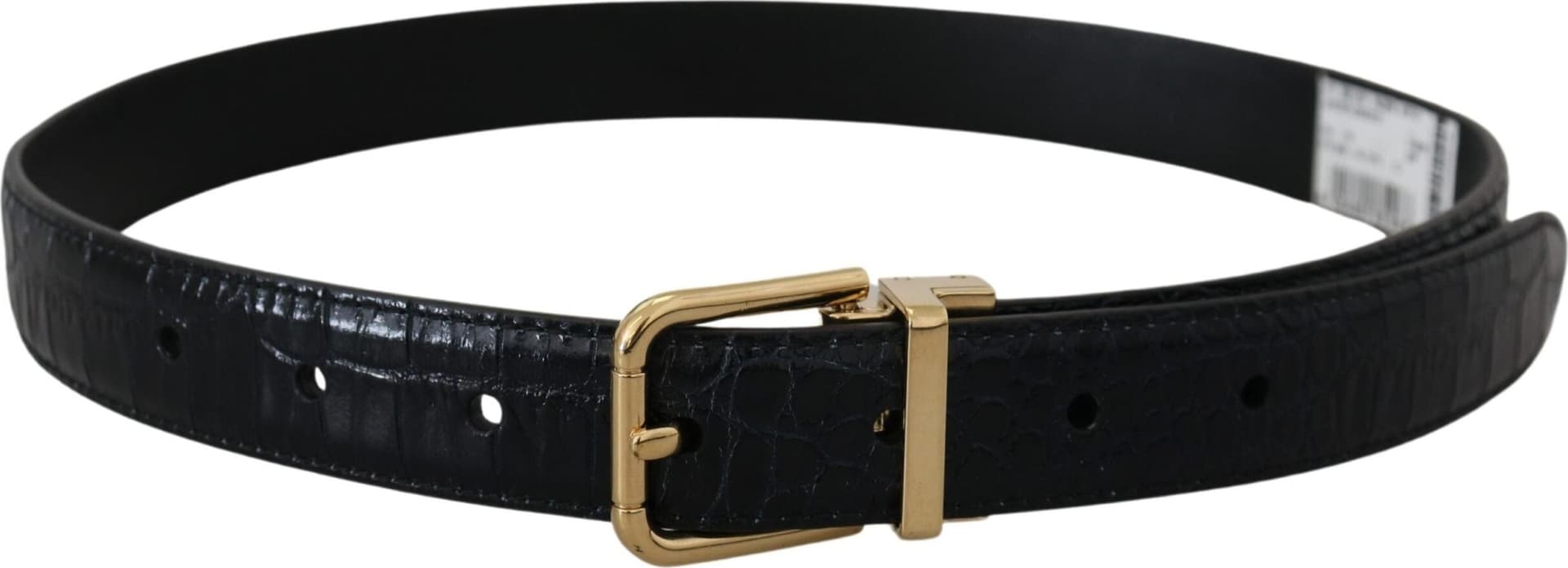 Dolce & Gabbana Blue Exotic Leather Gold Metal Buckle Belt - 3