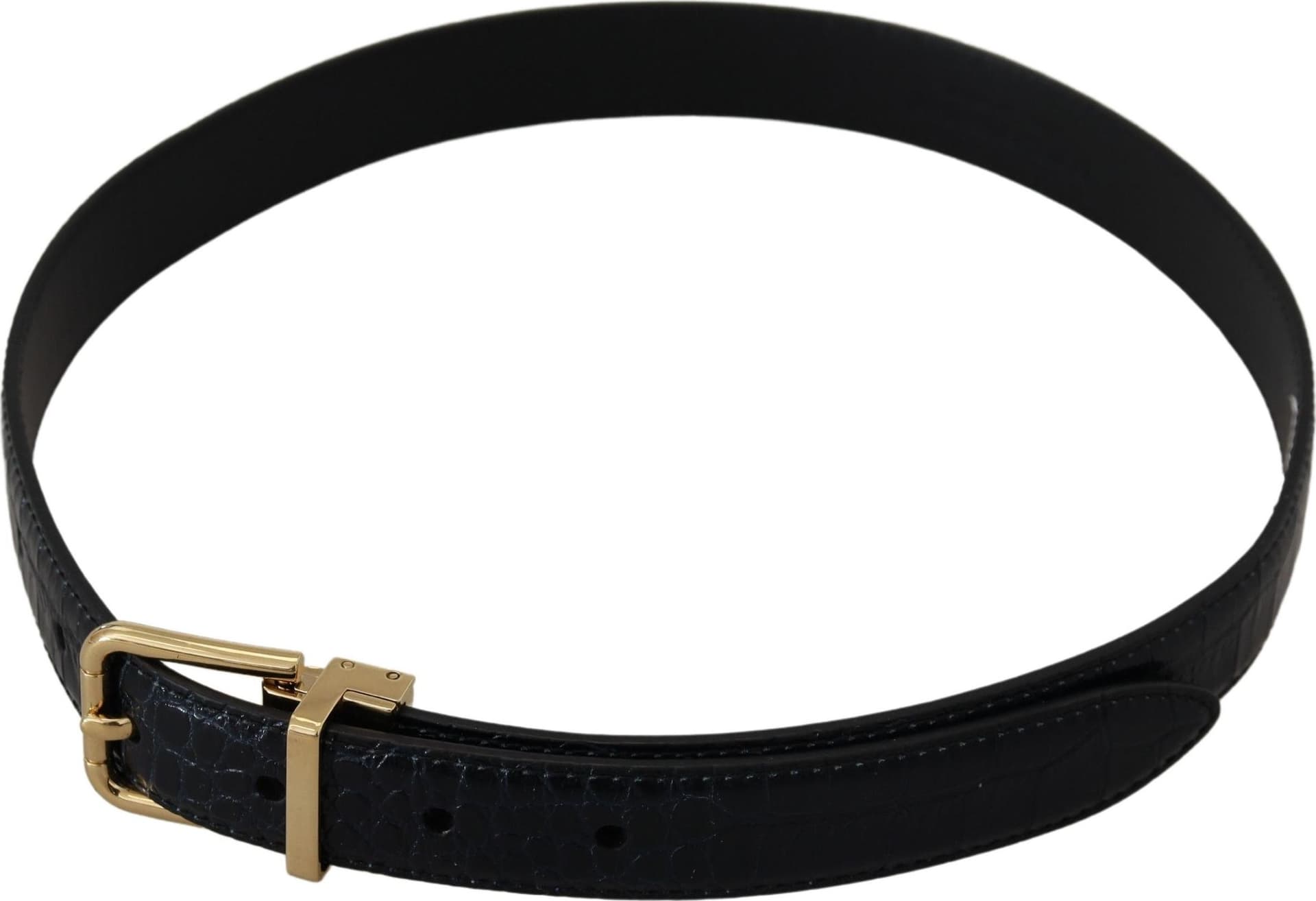 Dolce & Gabbana Blue Exotic Leather Gold Metal Buckle Belt - 4