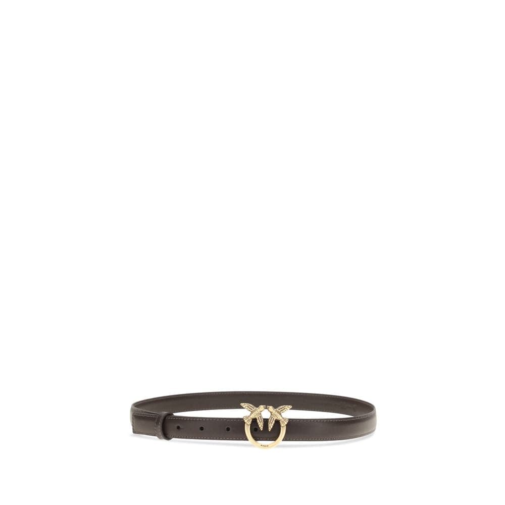 PINKO Brown Calf Leather Bos Taurus Regular Belt - 2