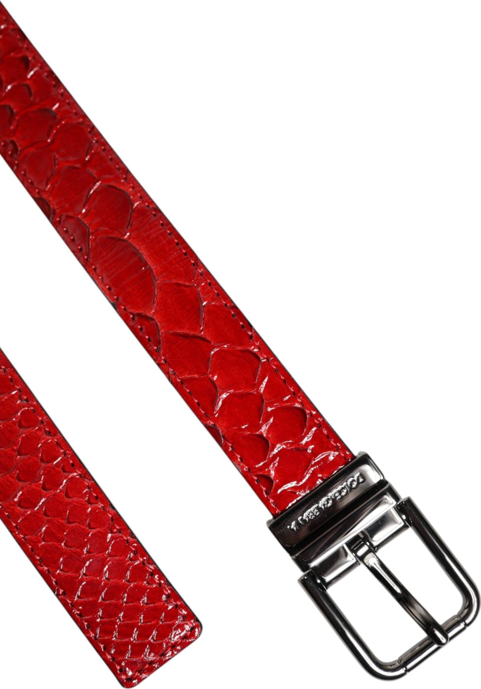 Dolce & Gabbana Red Exotic Leather Brass Metal Buckle Belt - 6