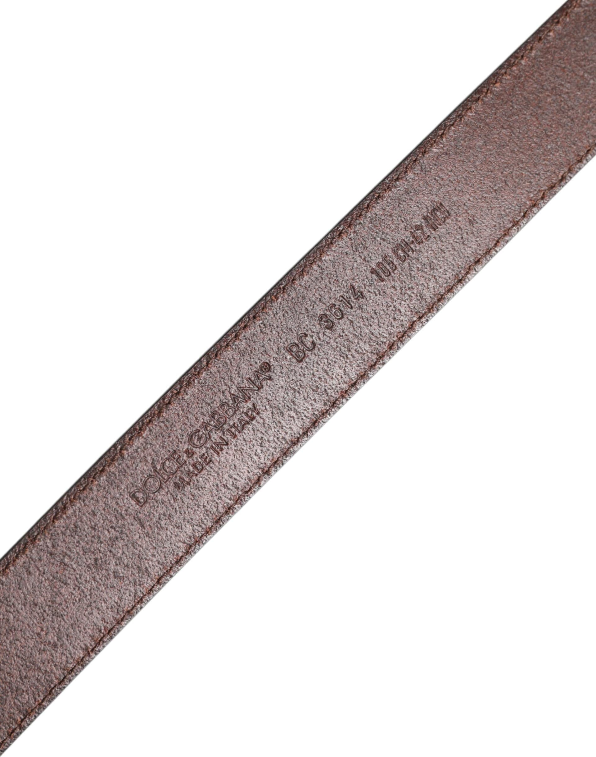 Dolce & Gabbana Brown Classic Calf Leather Metal Buckle Belt - 5