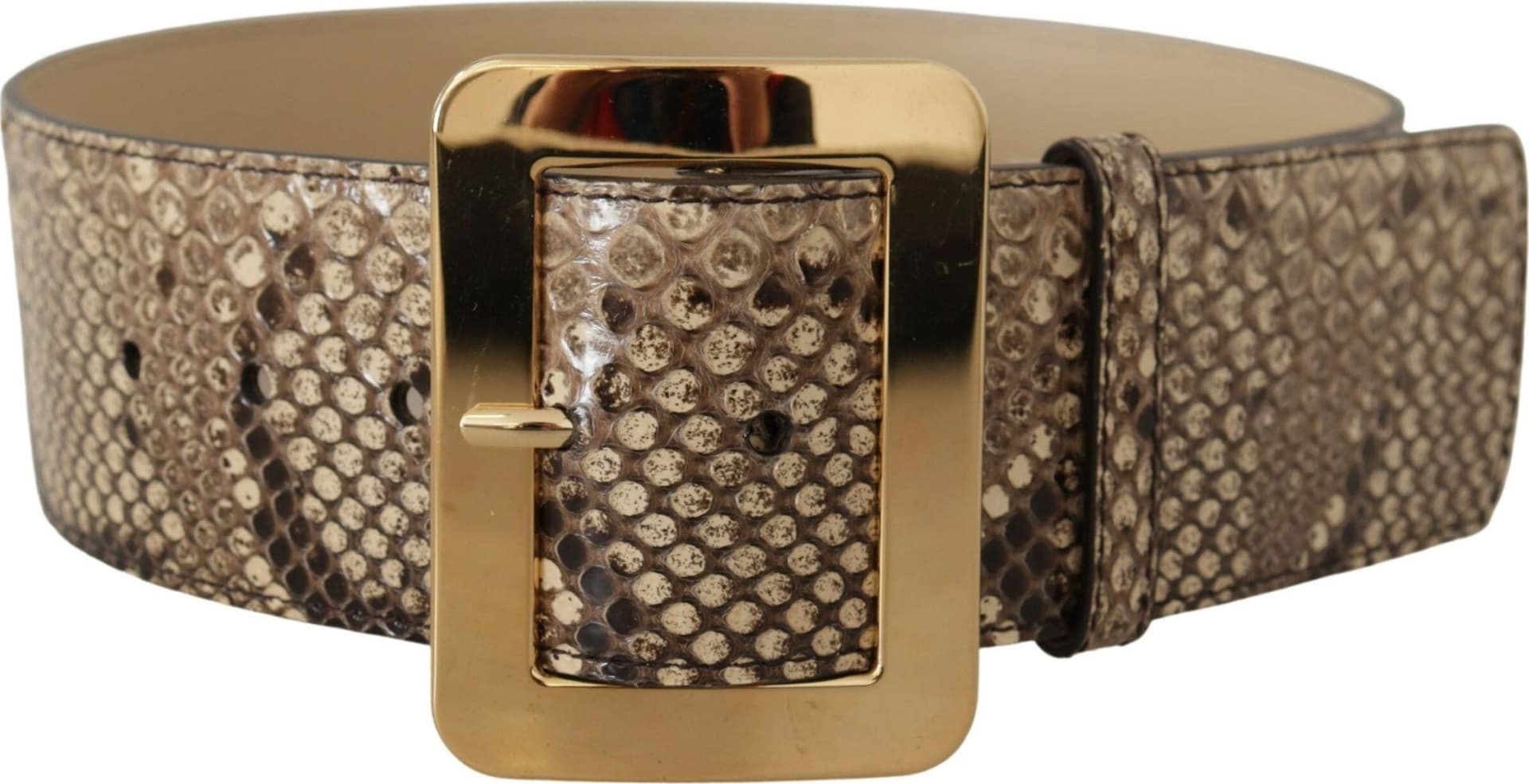 Dolce & Gabbana Brown Exotic Wide Waist Leather Gold Metal Buckle Belt - 3
