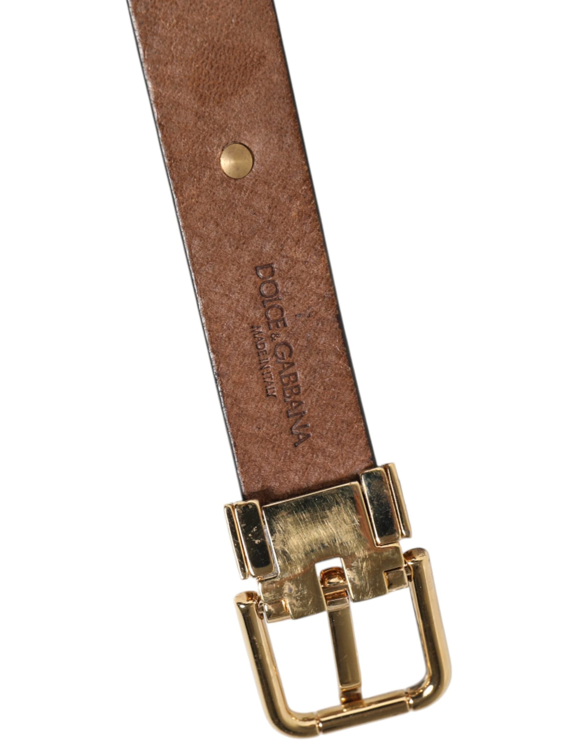 Dolce & Gabbana Brown Leather Gold Silver Coin Buckle Belt - 6