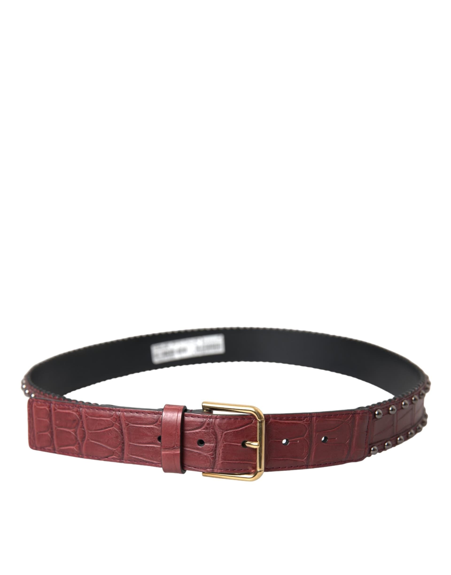 Dolce & Gabbana Brown Alligator Leather Studded Metal Buckle Belt - 2