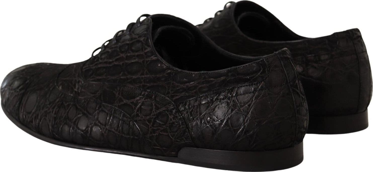Dolce & Gabbana Black Caiman Leather Mens Oxford Shoes - 4