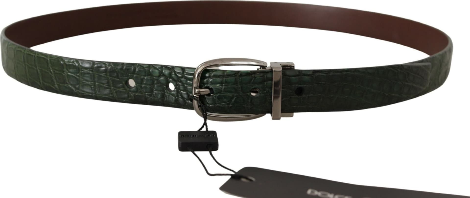 Dolce & Gabbana Green Exotic Leather Silver Buckle Belt - 2