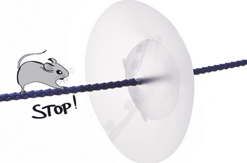 ANTI TOPO  IN PLASTICA - 2
