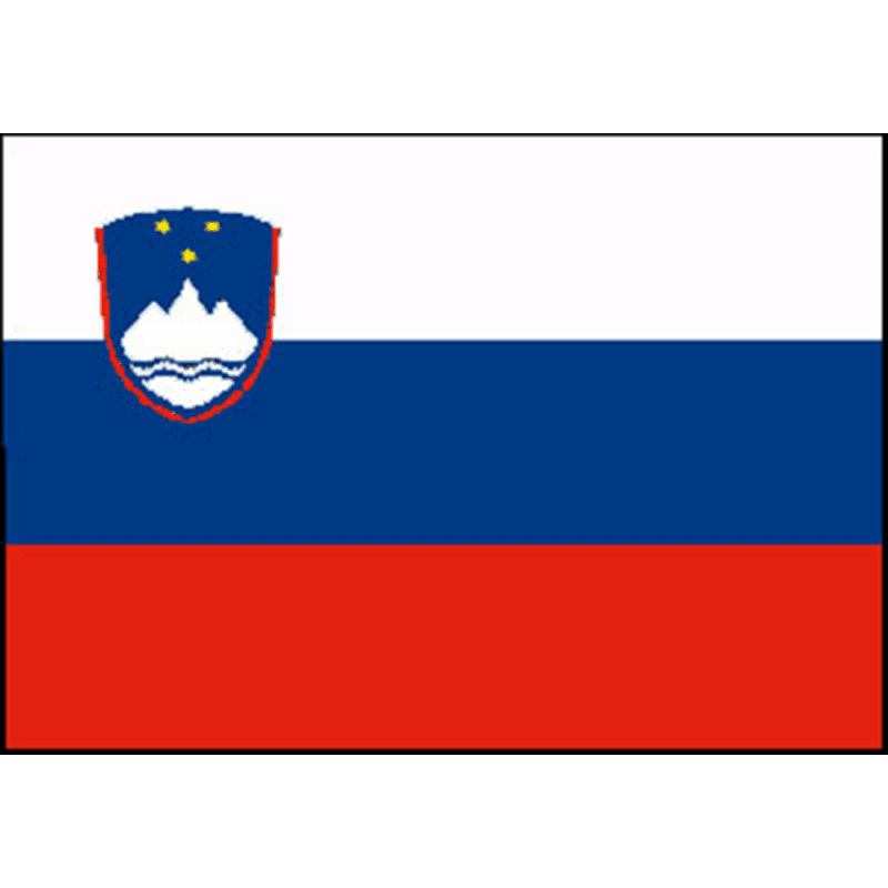 BANDIERA SLOVENIA CM.20X30 - 3