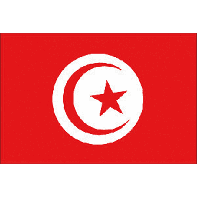 BANDIERA TUNISIA CM.20X30 - 2